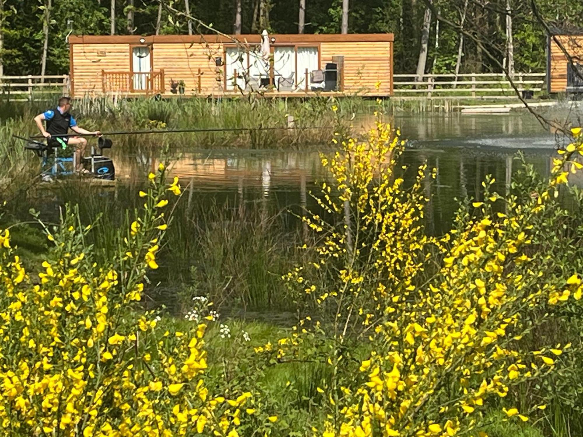 Oak Boutique Lodge Includes Hot Tub Air Con & Dog York Extérieur photo